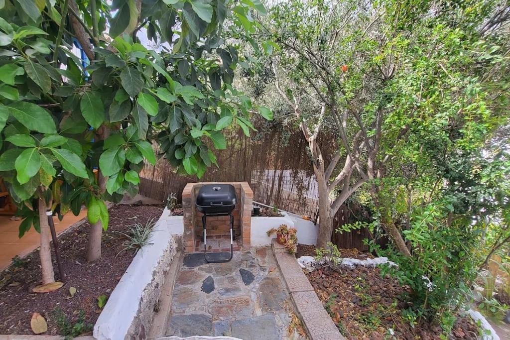 アガエテ Casa Mimosa With Private Pool & Gardenヴィラ エクステリア 写真